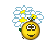 :kvety: